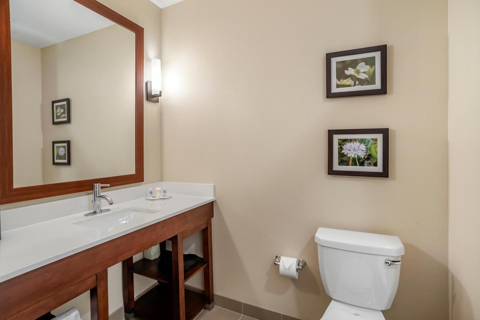 Comfort Inn & Suites Winchester Szoba fotó